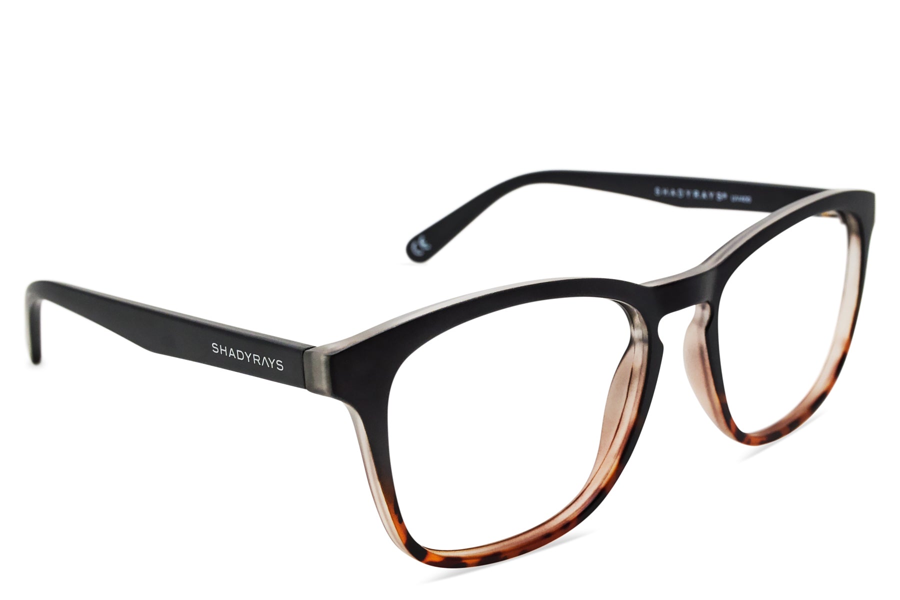 Black Tortoise Cypress Rx Eyewear